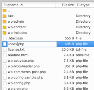 Print tela FTP demostrando renomeação do arquivo index